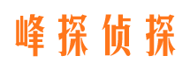 咸安市侦探公司